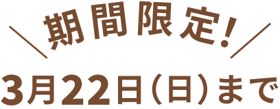 期間限定！3月22日（日）まで